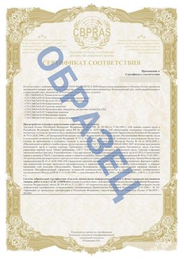 Образец Приложение к СТО 01.064.00220722.2-2020 Зима Сертификат СТО 01.064.00220722.2-2020 